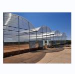 Multi Span Commercial Agricultural Smart Venlo PC Greenhouse 4.0-8.0M Height