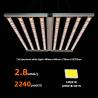Buy cheap 2 Channel Full Spectrum 4 *4ft LED Grow Light 900W 5 Years Warranty UV Light For Growing Plants from wholesalers
