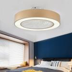 Macaron Ceiling fan lamp Intelligent remote control AC motor restaurant celling