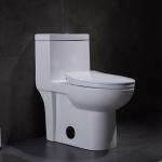 Ada One Piece Toilet Single Flush Siphonic Close Coupled Sanitary Ware