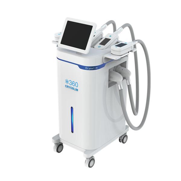Buy cheap 2022 Professional Weight Loss Body Sculpting 4 Handles 360 Cryolipolysis Fat Removal machine from wholesalers