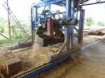 Heavy Duty Electric Double Saw Blade Angle Sawmill DS1300 Portable Wood Circular