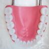 Buy cheap Human Anatomical 6 Times 32 Teeth Dental Care Model from wholesalers