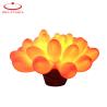 Buy cheap Advertising Inflatable LED Light UV Printing Giant With Different Colors And Logo from wholesalers