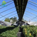 Medical Growing Blackout Light Dep Green House 9X32M Tunnel Greenhouse