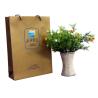 Buy cheap Hot Stamp 230gsm UV Logo Paper Carrier Bag Matt Lamination for advertising from wholesalers