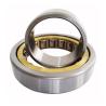 Buy cheap NN3013KTN1 Cylindrical Roller Bearing Types 65*100*26mm Size from wholesalers