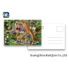 Buy cheap 0.6mm PET 3D Postcard Animation Picture CMYK Printing Tiget Pattern Tear - Proof from wholesalers