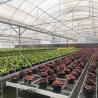 Buy cheap Large Poly Tunnel Agricultural Multi-span PE Film Flower Custom Greenhouse from wholesalers