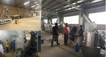 Delta Or Customized Pet Food Processing Machine for Dog Cat Used Animal Feed Maker Machine