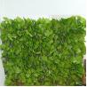 Buy cheap Decorative Plastic Green Plant Mat Panel Artificial Leaves Fence For Outdoor from wholesalers