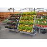 Buy cheap 500kgs Danish Flower Trolley 3 Shelves Outdoor Plant Cart With Wheels from wholesalers