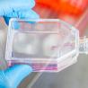 Buy cheap T25 T75 T175 Lab Plastic Sterile Disposable Culture Media Flask Cell Tissue Culture Flask Flatted from wholesalers