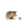 Buy cheap Manufacturers Wholesale All Kinds Of Color Pet Training Toy Puppy Tennis Cat Toy Ball from wholesalers