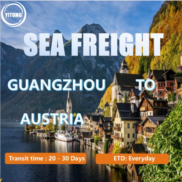 Buy cheap DDP Logistics From Guangzhou China To Austria With Seafreight from wholesalers