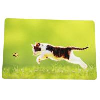 Buy cheap PASSIONATE BFM-015 Non Slip Floor Mat Soft Absorbent Door Mat product