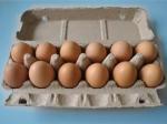 700pcs/h Small Paper Pulp Egg Carton Making Machine For Home Use