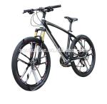 Popular design Complete carbon fiber mountain bicycle made in China for sale