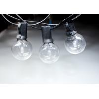 Buy cheap 5V 2A G40 RGB Garden Commercial Grade LED String Lights product