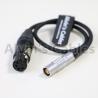 Buy cheap XLR 4 Pin Female To Lemo PHG 2 Pin Female Straight Cable For Nagra V from wholesalers