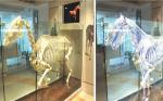 3D Rear Projection Film Gray Clear Holographic Film Creat Virtual Hologram