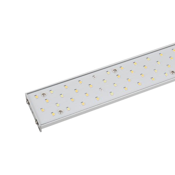 Buy cheap B1-9 48V DC 405nm 6''x36'' 60W Led Plant Grow Light from wholesalers