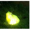 Buy cheap Outdoor 10.5" 0.2W Solar Powered Frog Garden Lights from wholesalers