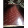 Buy cheap Shandong Linyi Film Faced Plywood Marine Plywood Construction Plywood from wholesalers