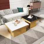 Marble Square Minimalist Combination Coffee Table With Stainless Steel Leg