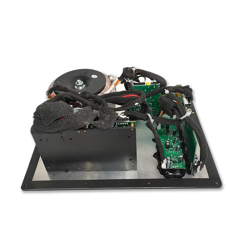 1000 Watts Class D Plate Power Amplifier Custom Mono Amplifier Module