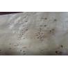 Buy cheap Poplar Natural Burl Sliced Cut Wood Veneer Sheets , Elm Burl Veneer from wholesalers
