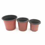 wholesale Two-color plastic flower pot for Orchid seeds