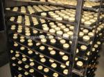 Electric / Gas / Diesel Rotary Bread Oven 32 Trays Commercial Bakery Rotary Oven