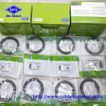High Pressure SKF NBR FKM Rotary Oil Seal For Hydraulic Pump Motor
