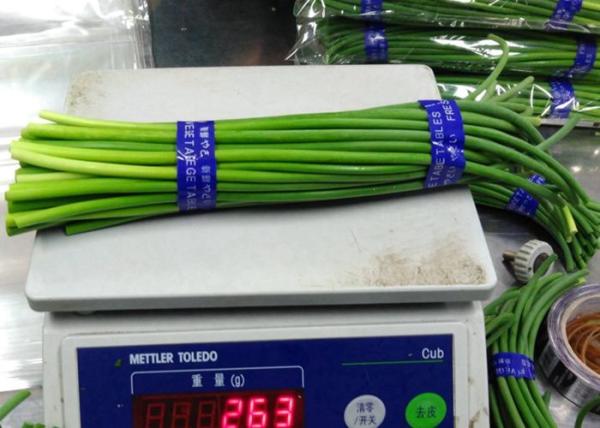 Buy cheap New Crop garlic growing green stems from wholesalers