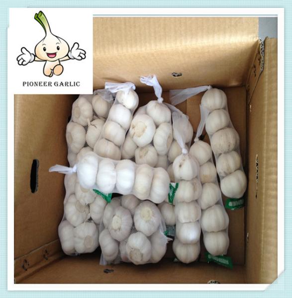 Buy cheap Chinese Fresh Garlic Top Quality Snow White Garlic 5.0cm 1kg/1000g Bag from wholesalers