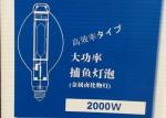 Small Size Metal Halide Fishing Lamp , BT220 Shape 2000W Light For Fishing Boat