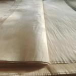Natural Wood Rotary Cut White Birch Veneer Sheet With D+ Grade For Plywood