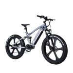 Weldless Frame Electric Fat Tire Bike Full Suspension 750W 26 Inch Fat Tire