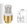 Buy cheap Brass / Stainless Steel Foot Valve Thread Connect End , Spring Check Foot Valve from wholesalers