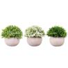 Buy cheap SVHC Artificial Potted Floor Plants Indoor Greenery 8*15cm 10*18cm from wholesalers
