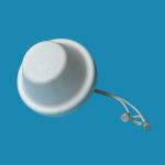Ameison 800-2700Mhz in-building Omni MIMO Ceiling Antenna high gian for mobile