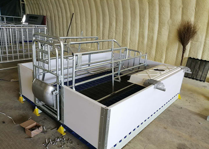 ISO9001 Raised Farrowing Crate For Pigs With Nipple Drinker