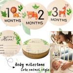 Wooden Baby Monthly Milestone Cards Animal Milestone Cards Wooden Announcement