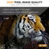 Buy cheap KW591 outdoor trail hunting camera no-glow Two sensor 1080P FHD Hunting Camera night viison from wholesalers