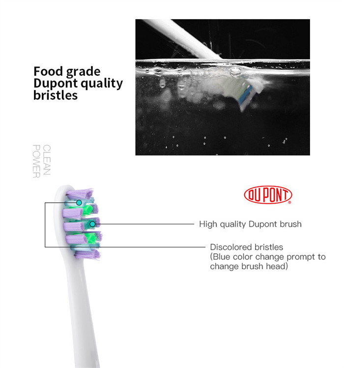 Brush Head Diameter 0.12/0.15mm Sonic Electric Toothbrush 30 Sec Interval Reminding SN302