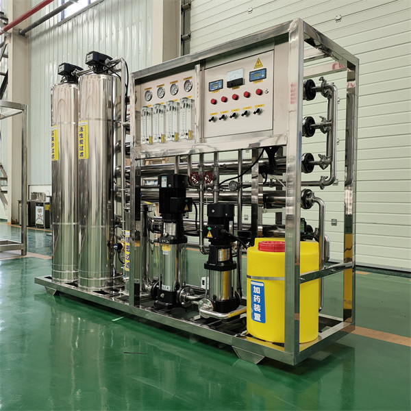 1000LPH Commercial Double-stage Reverse Osmosis Water Treatment System