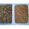 Buy cheap 64 Chute Cashew Nut Color Sorter High Capacity from wholesalers