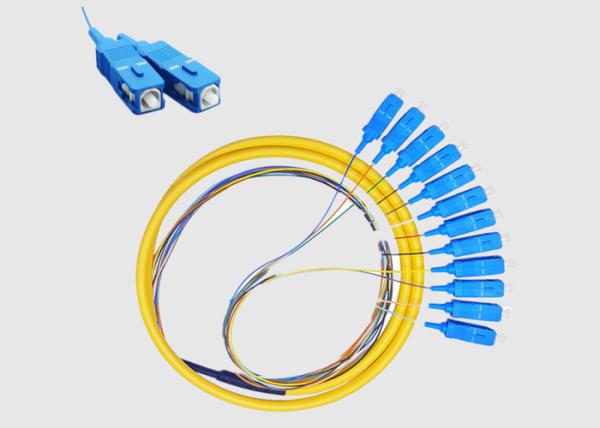 Buy cheap SC UPC 12 Cores G652D G657A1 Patch Cord Pigtail from wholesalers