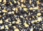 Buy cheap Green Kernel Organic Roasted Black Beans Original Flavor Crispy Texture from wholesalers